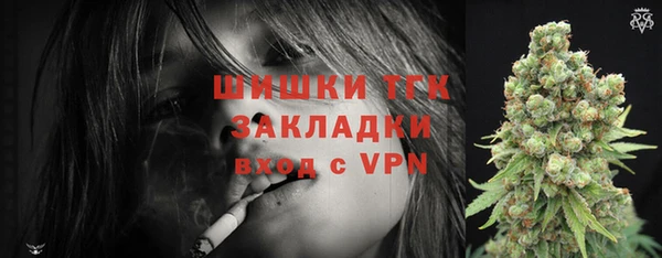 сатива Верхний Тагил