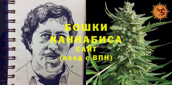дурь Богданович